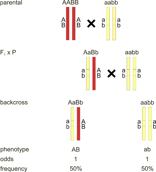 fig82