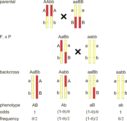 fig85