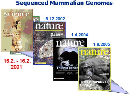 Up-to-now sequenced mammalian genomes