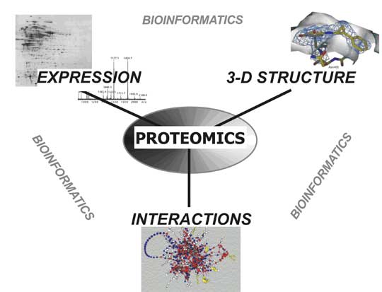 Major proteomics directions